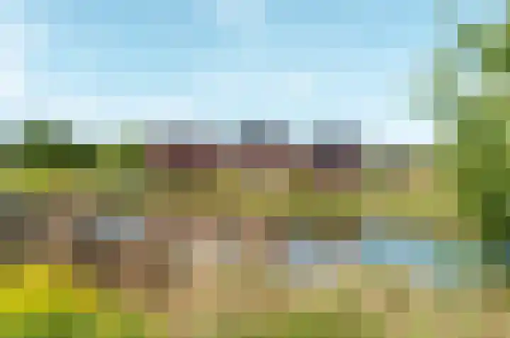 Beemdlaar 52 Almere thumbnail 79