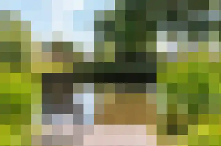 Beemdlaar 52 Almere thumbnail 82