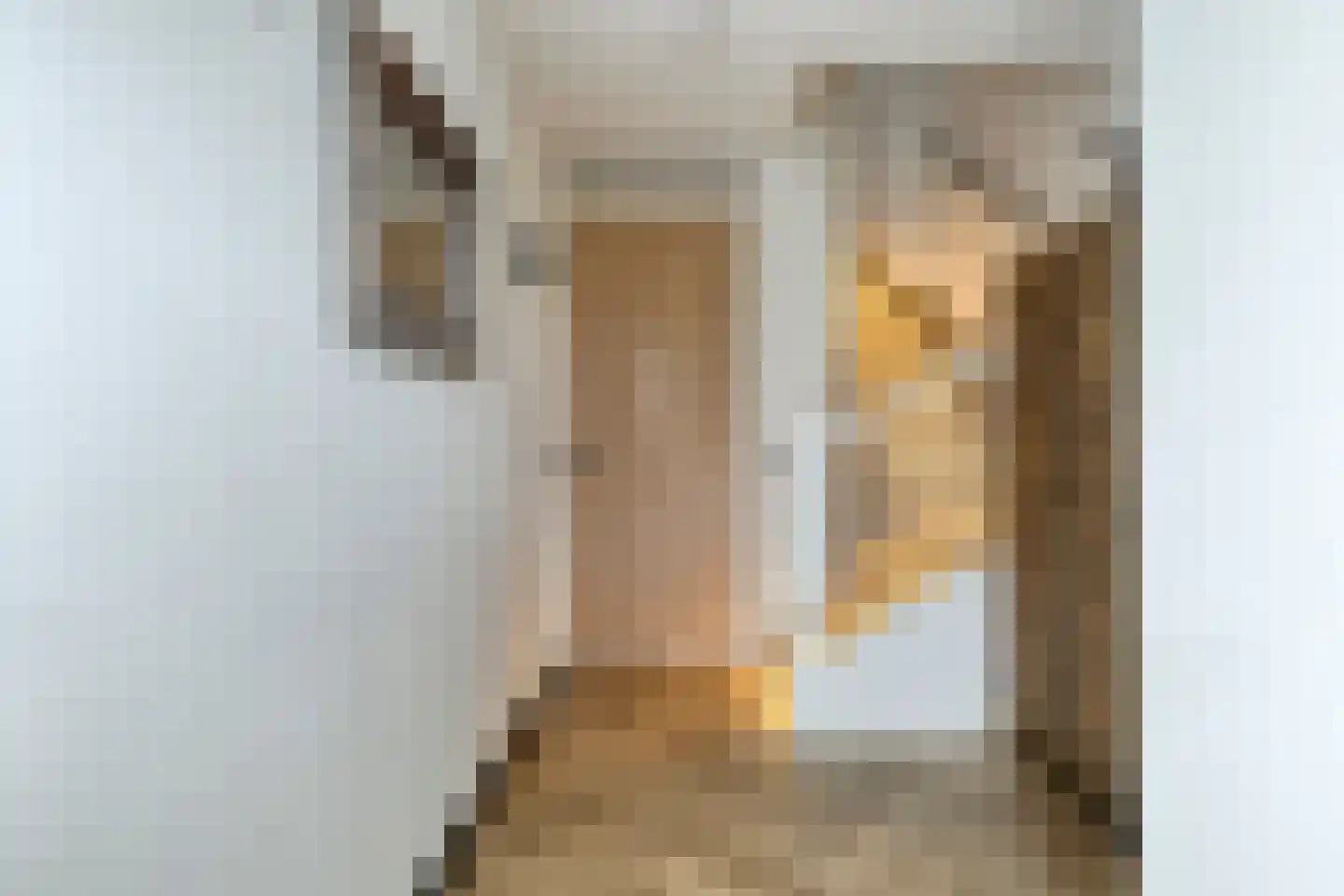 Beemdlaar 62 Almere thumbnail 10