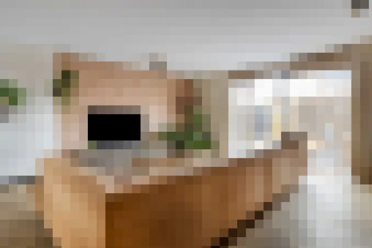 Beemdlaar 62 Almere thumbnail 14