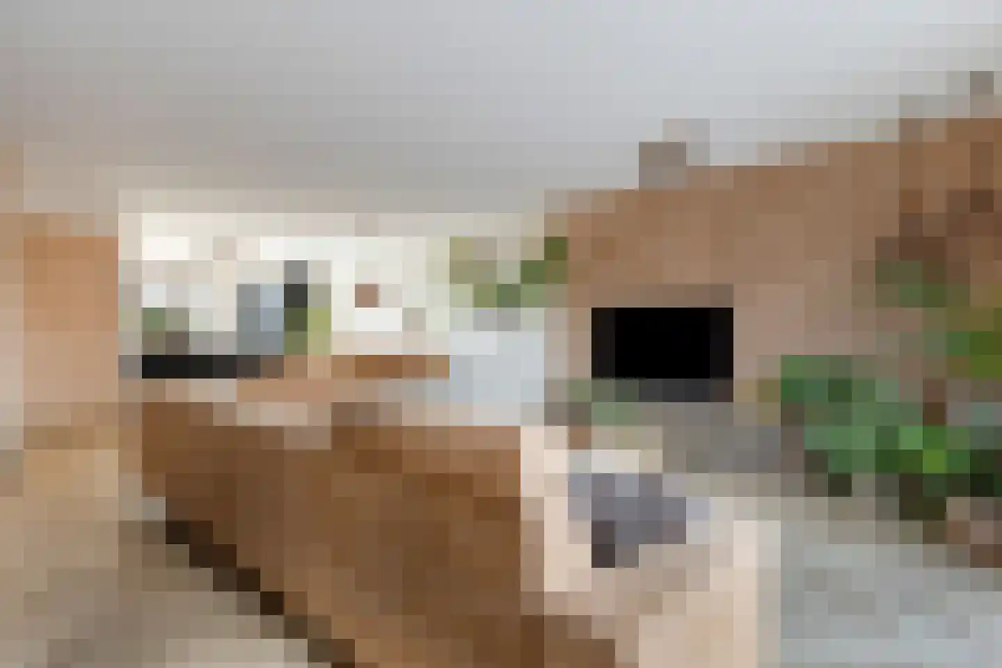 Beemdlaar 62 Almere thumbnail 17