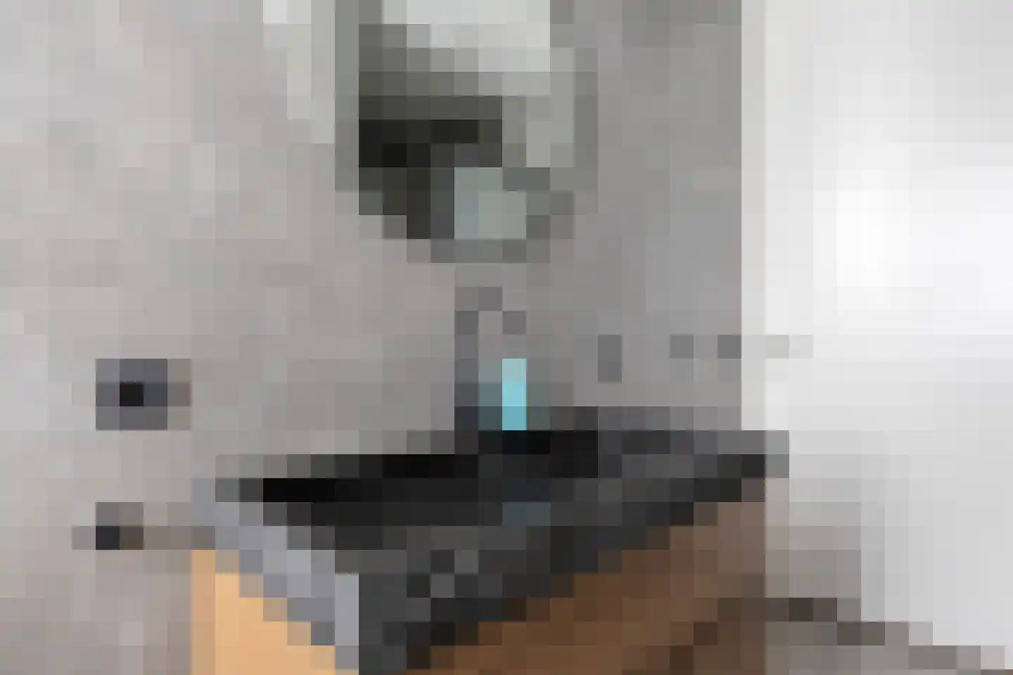 Beemdlaar 62 Almere thumbnail 30