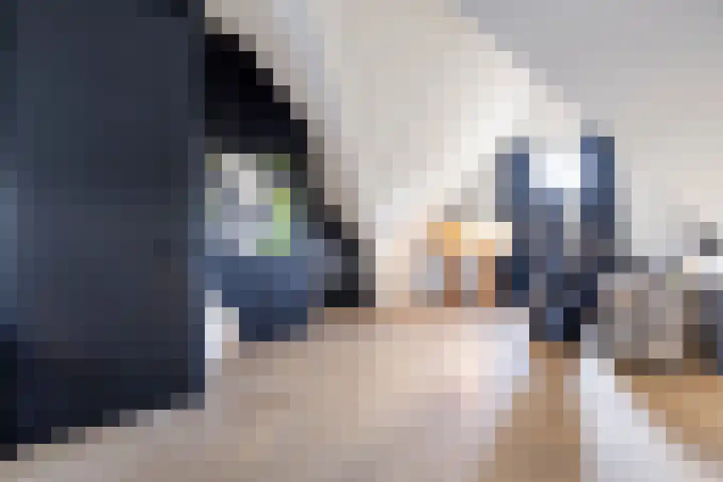 Beemdlaar 62 Almere thumbnail 37