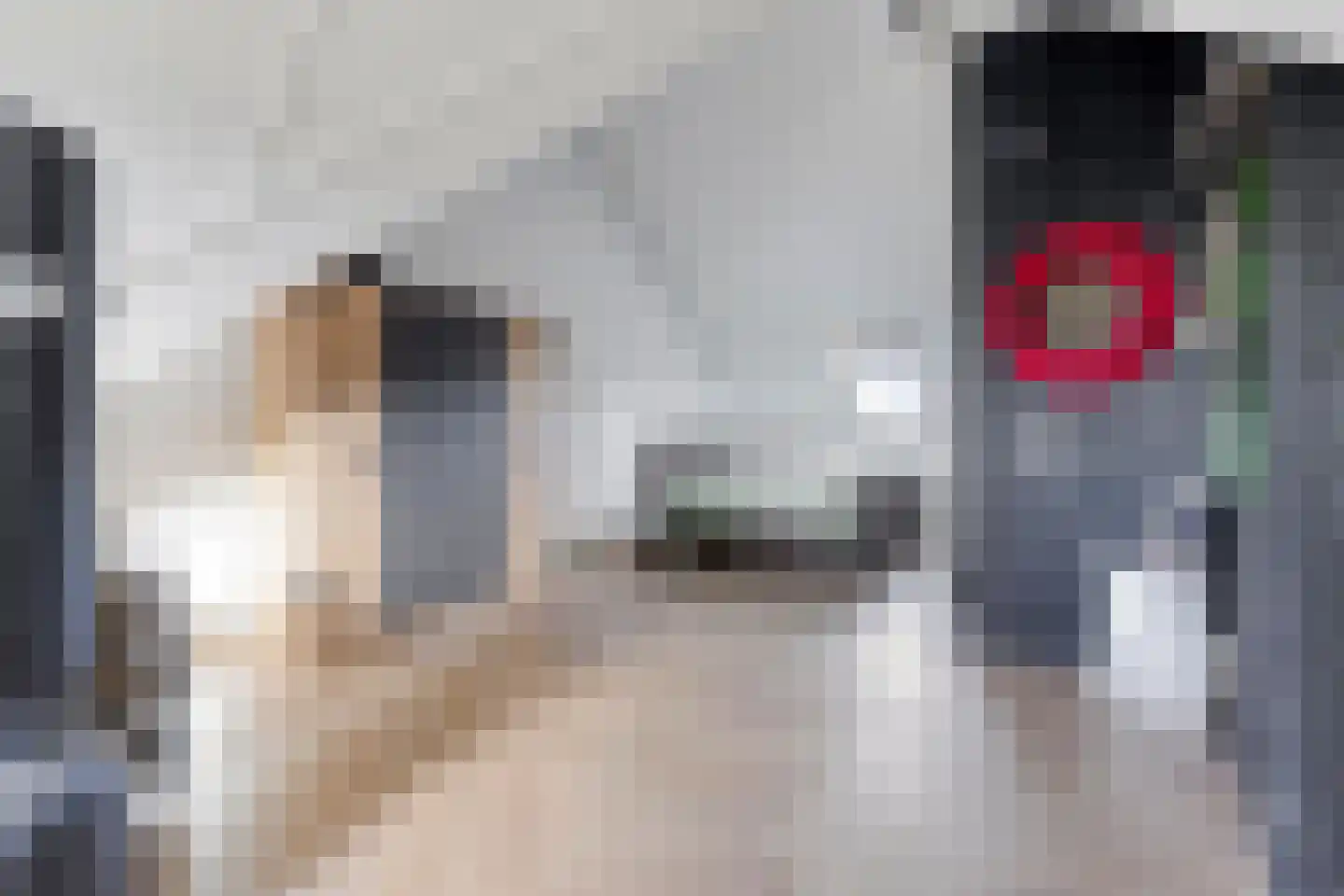 Beemdlaar 62 Almere thumbnail 39