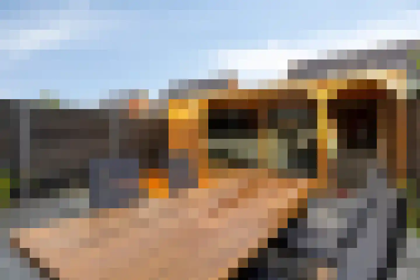 Beemdlaar 62 Almere thumbnail 41