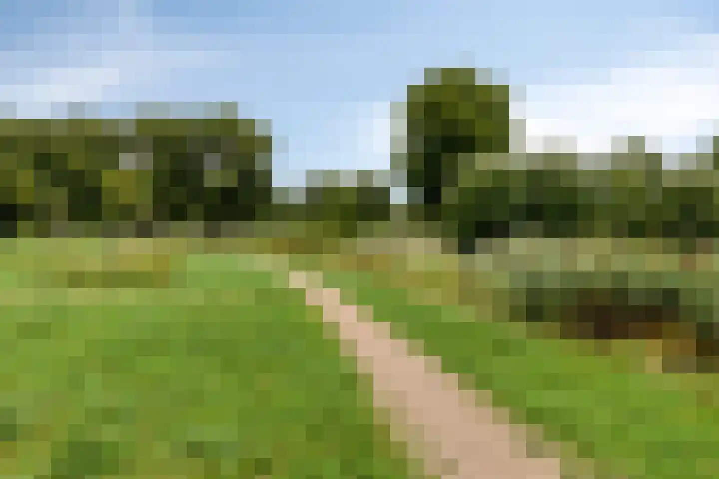Beemdlaar 62 Almere thumbnail 47