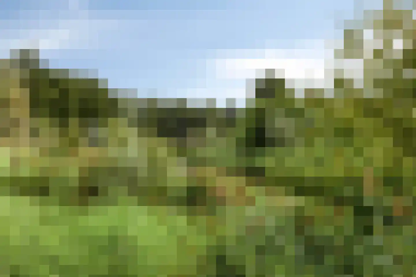 Beemdlaar 62 Almere thumbnail 49