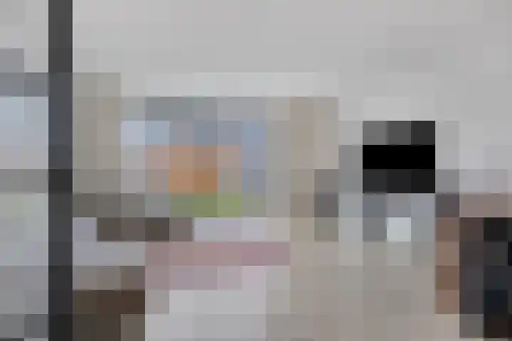Beemdlaar 64 Almere thumbnail 15