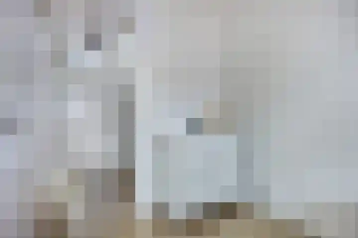 Beemdlaar 64 Almere thumbnail 31