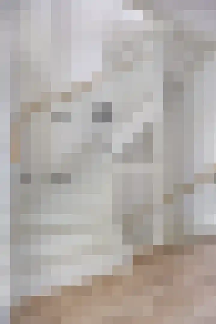 Beemdlaar 64 Almere thumbnail 32