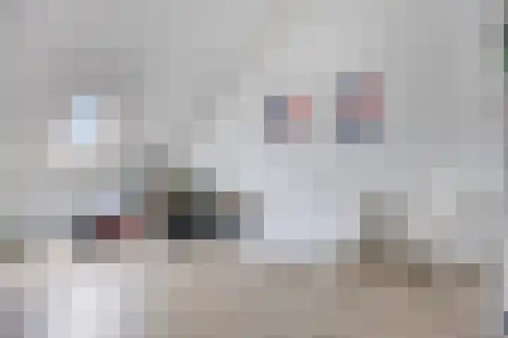 Beemdlaar 64 Almere thumbnail 33