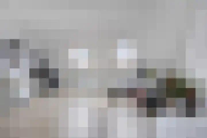 Beemdlaar 64 Almere thumbnail 34