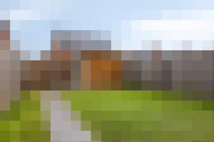 Beemdlaar 64 Almere thumbnail 38