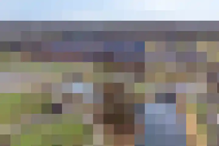 Beemdlaar 64 Almere thumbnail 43