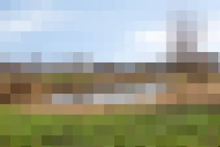 Beemdlaar 64 Almere thumbnail 44