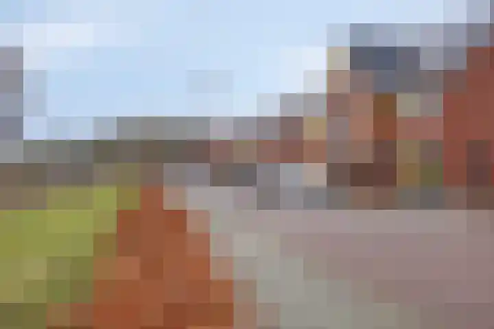 Beemdlaar 64 Almere thumbnail 45