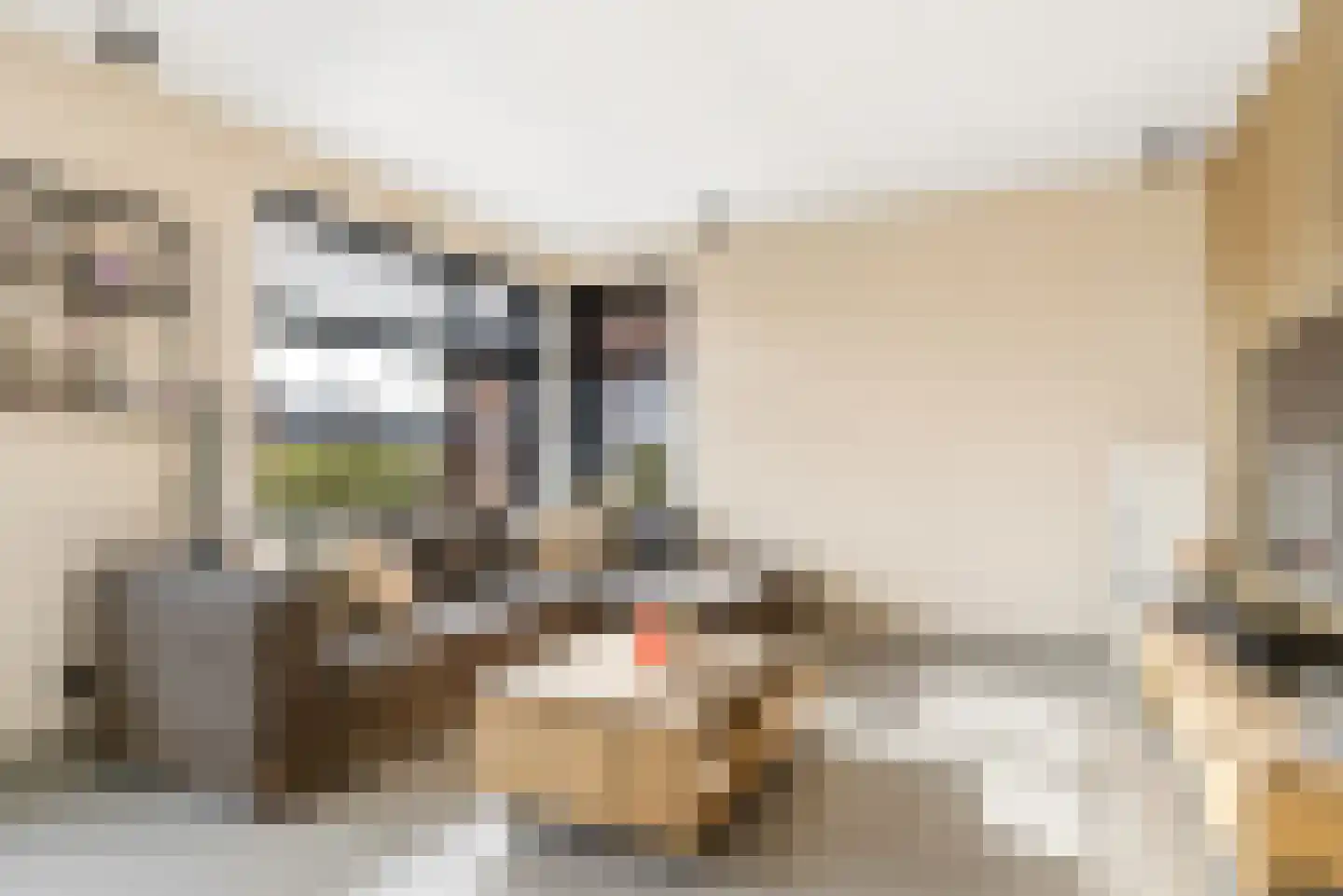 Beemdlaar 89 Almere thumbnail 10