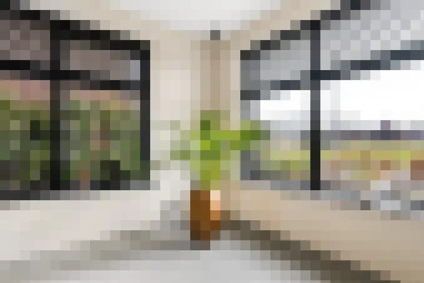 Beemdlaar 89 Almere thumbnail 13