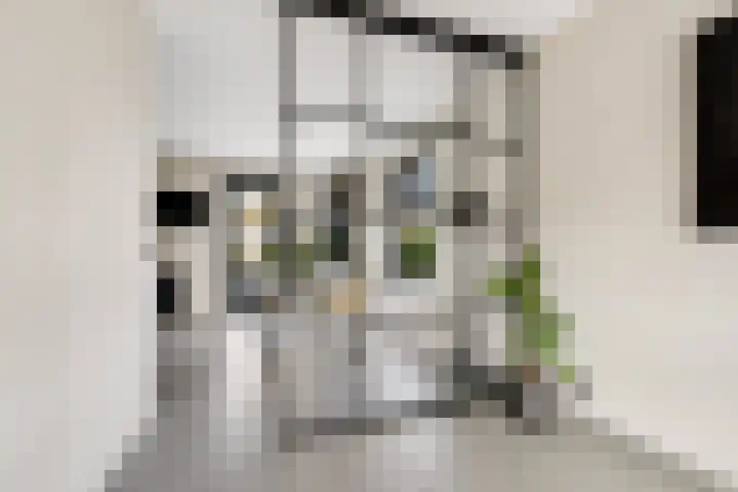 Beemdlaar 89 Almere thumbnail 16