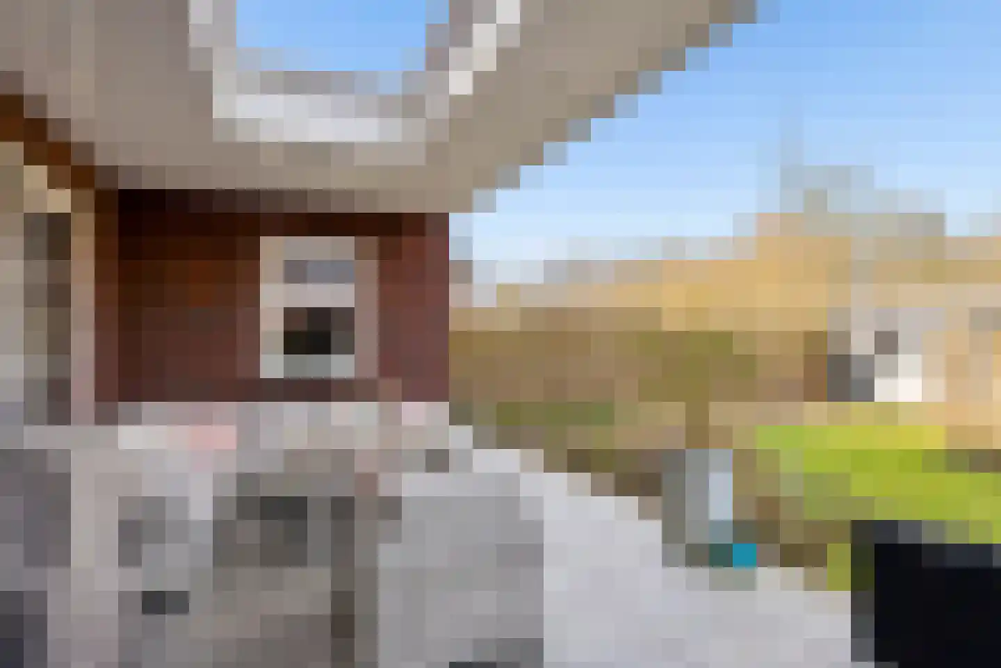 Beemdlaar 89 Almere thumbnail 51