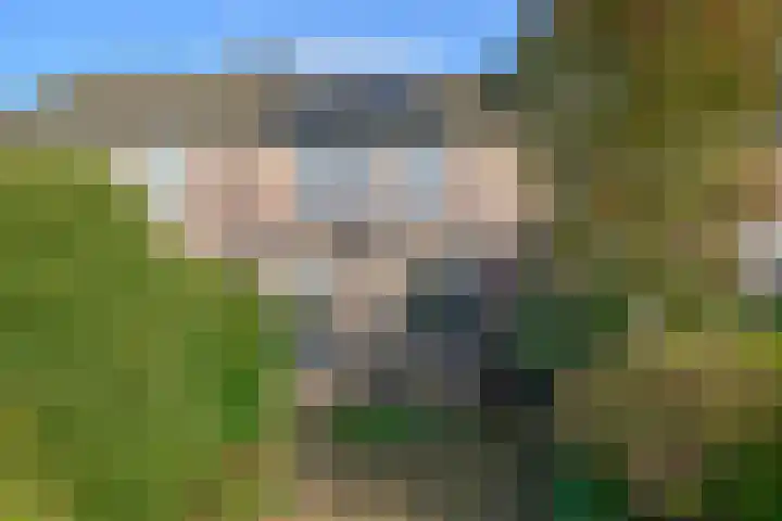 Beemdlang 19 Eemnes thumbnail 15
