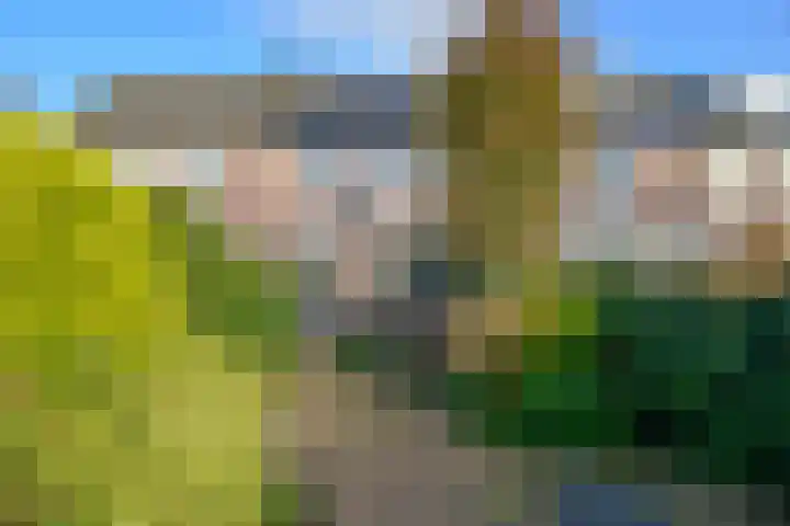 Beemdlang 19 Eemnes thumbnail 16