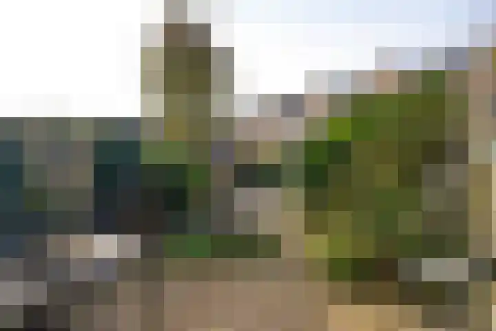Beemdlang 19 Eemnes thumbnail 17