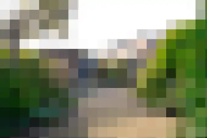 Beemdlang 19 Eemnes thumbnail 18