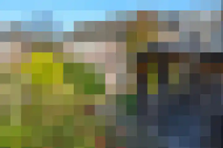 Beemdlang 19 Eemnes thumbnail 20