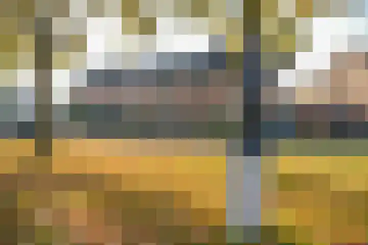 Beemdlang 19 Eemnes thumbnail 21
