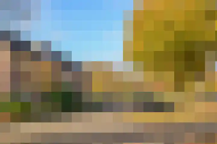 Beemdlang 19 Eemnes thumbnail 22