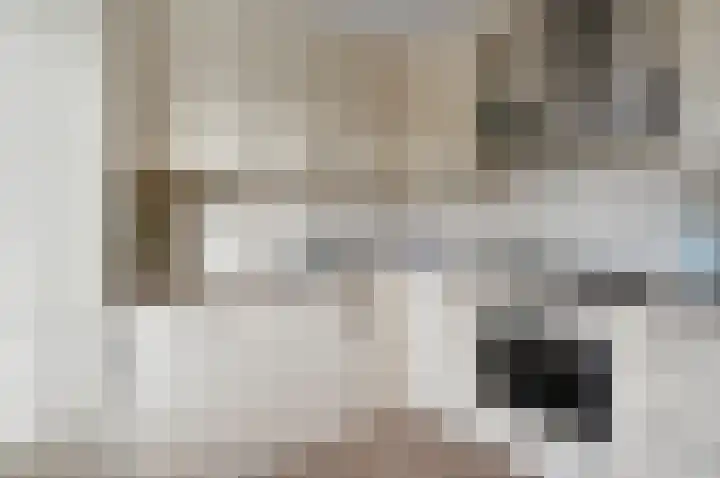 Beemdlang 19 Eemnes thumbnail 8
