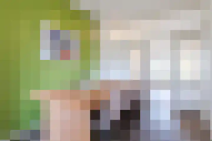 Beemdstraat 16 Nijmegen thumbnail 9