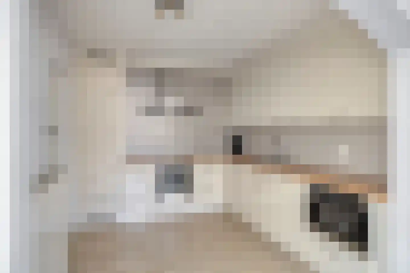 Beemdstraat 24 c Son en Breugel thumbnail 15