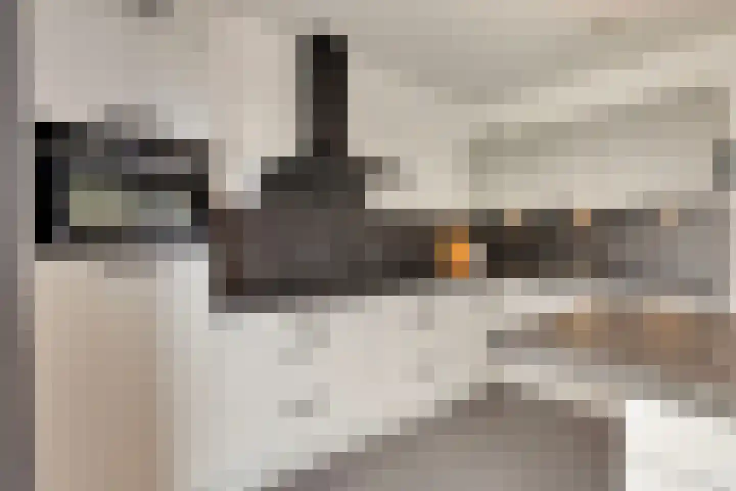 Beemdstraat 24 Heesch thumbnail 14