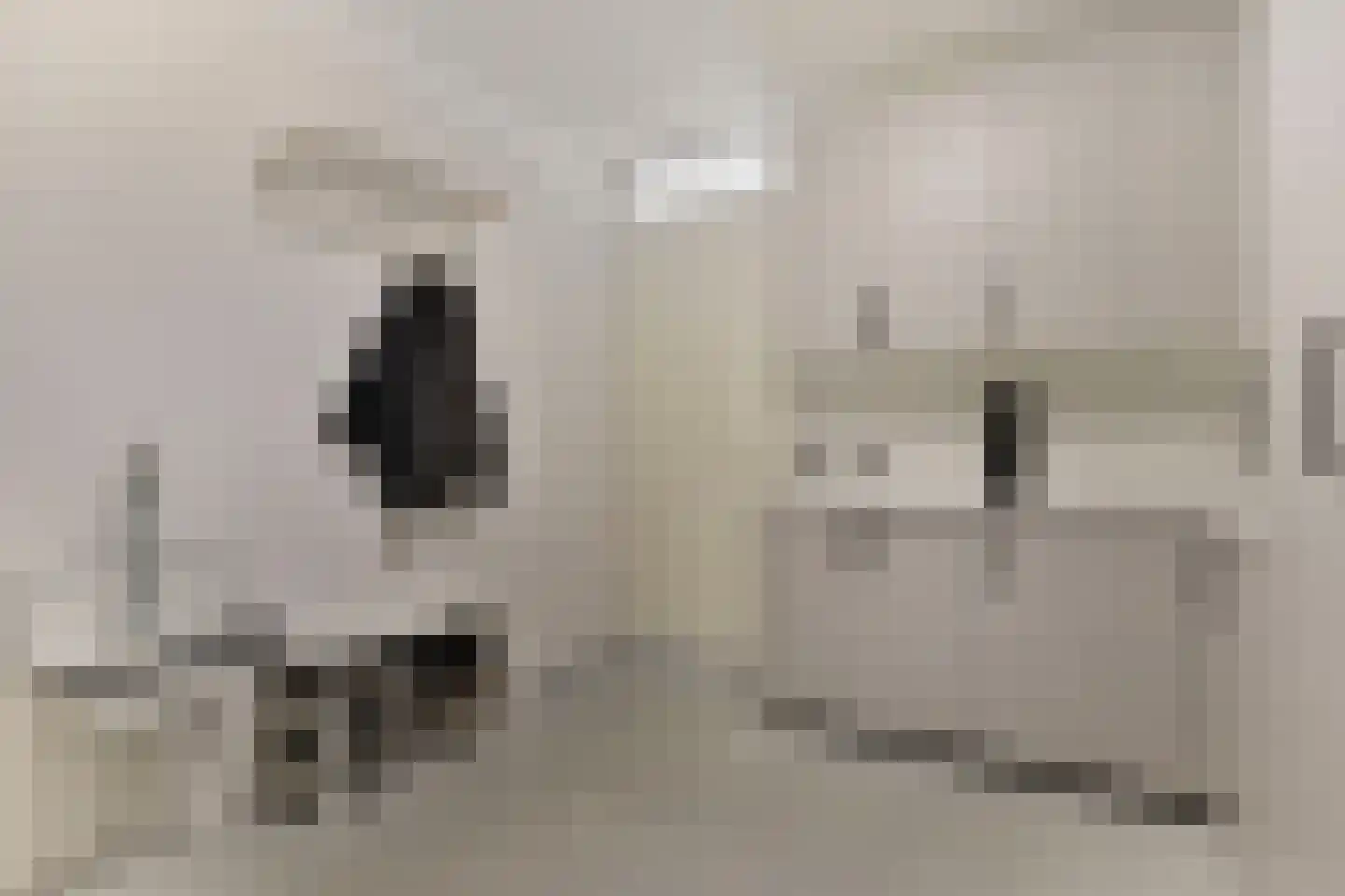 Beemdstraat 24 Heesch thumbnail 18