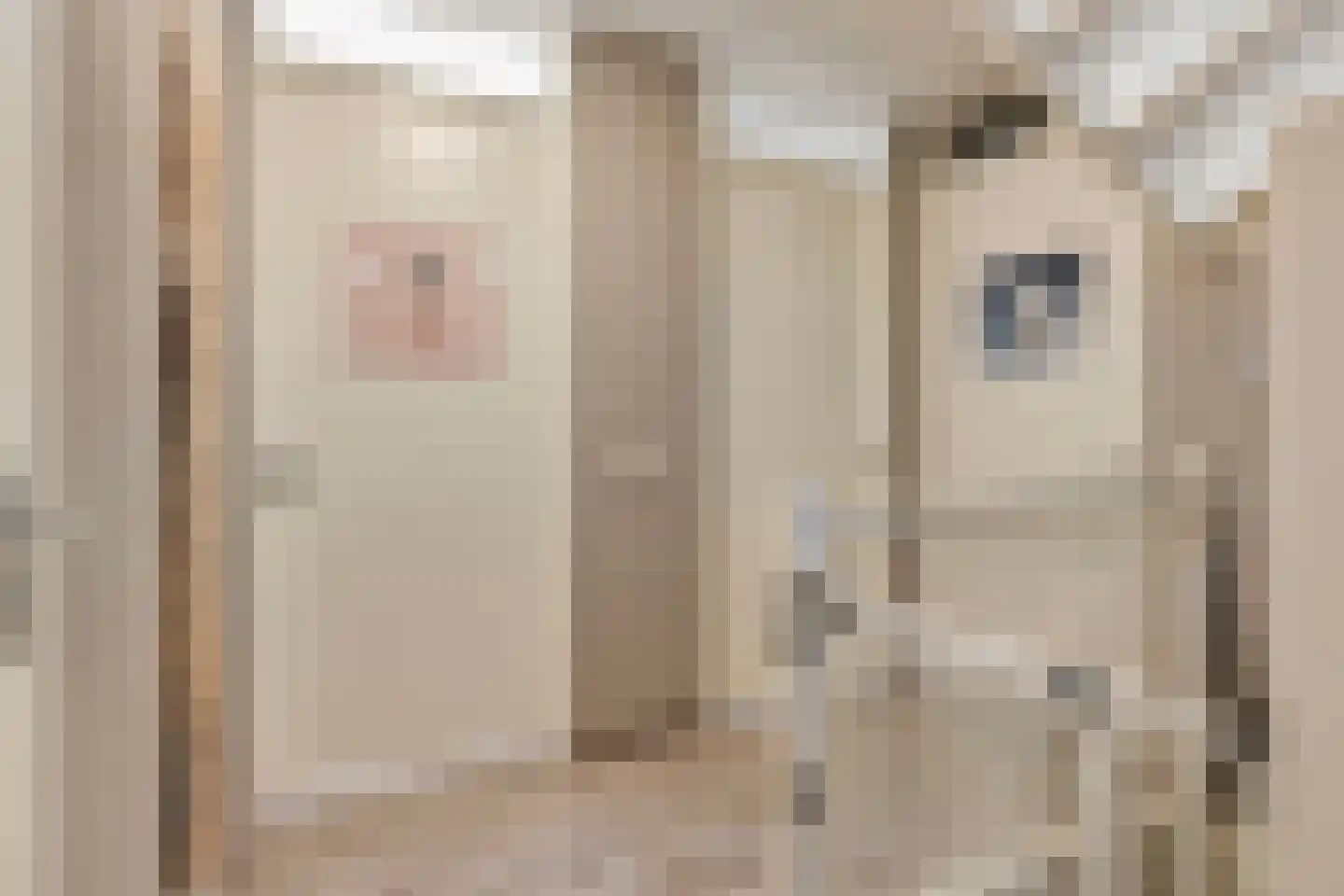 Beemdstraat 24 Heesch thumbnail 22