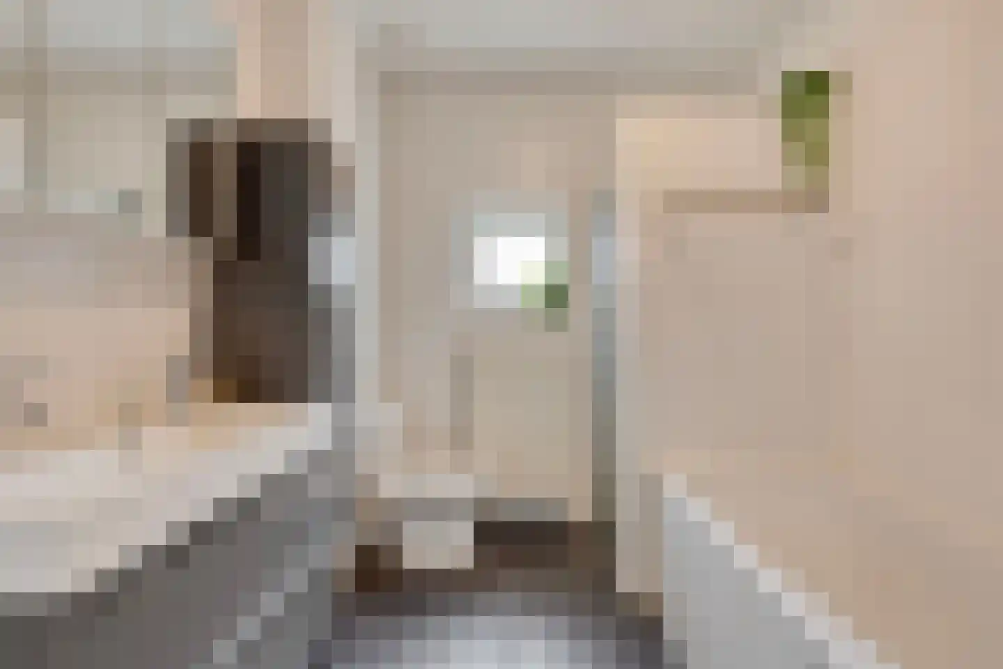 Beemdstraat 24 Heesch thumbnail 31
