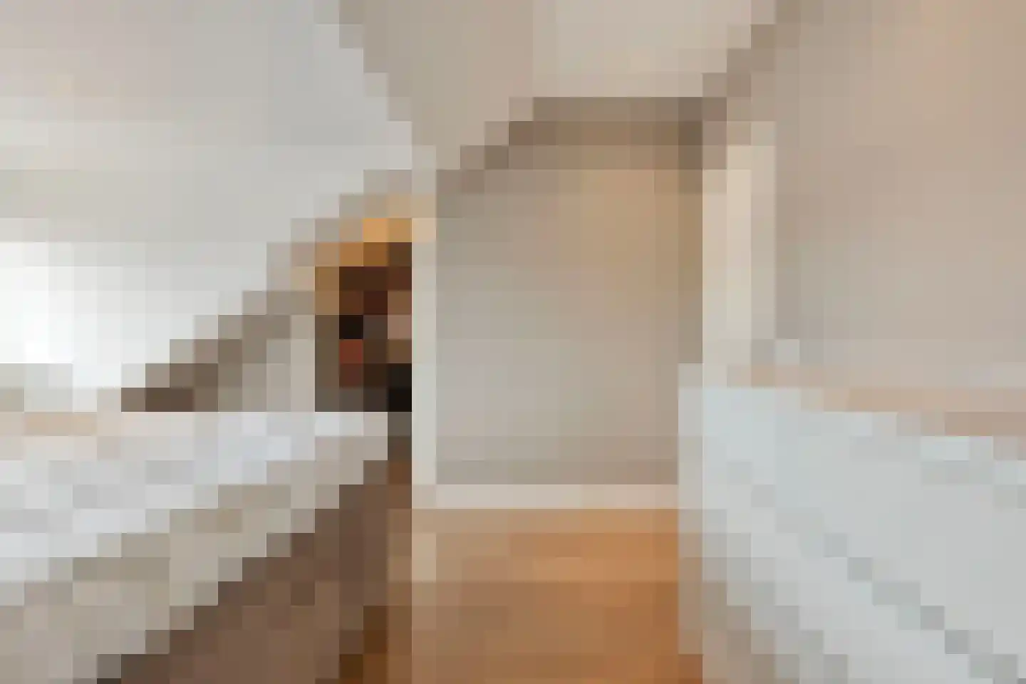 Beemdstraat 24 Heesch thumbnail 37