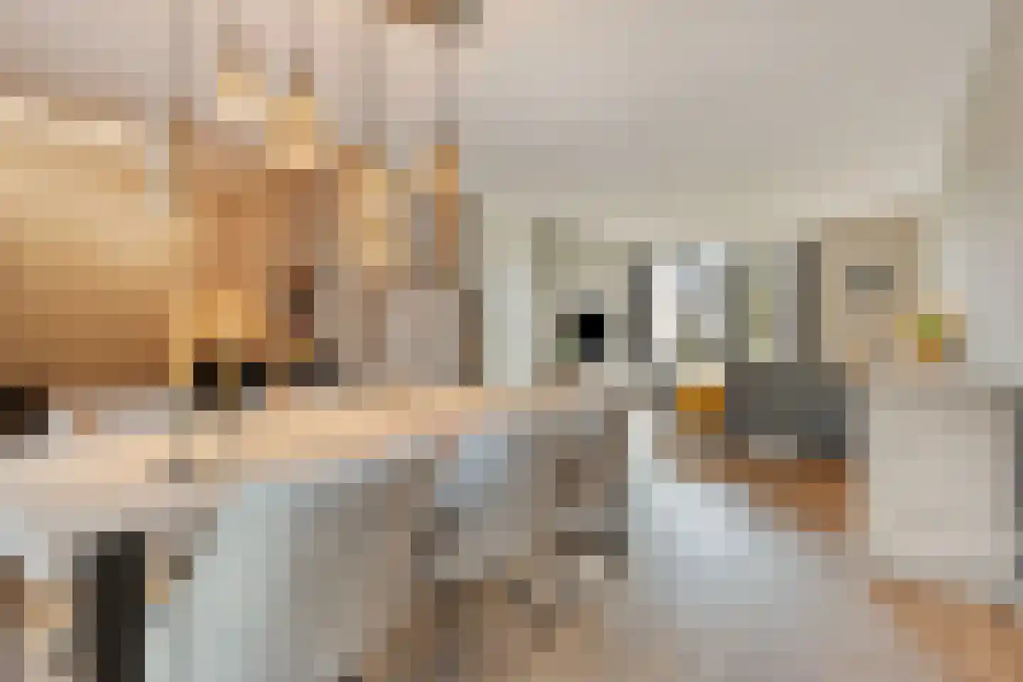 Beemdstraat 24 Heesch thumbnail 6