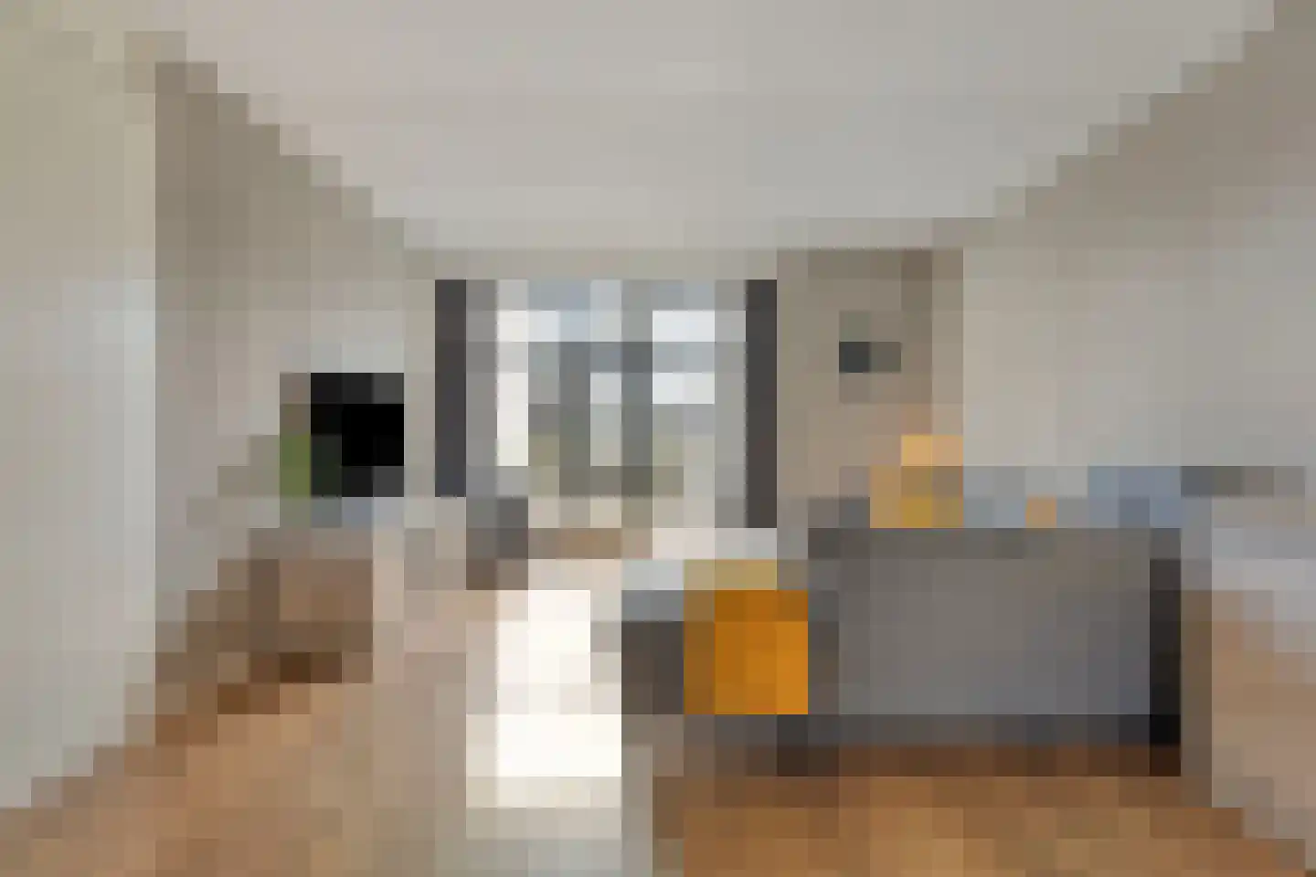 Beemdstraat 24 Heesch thumbnail 7