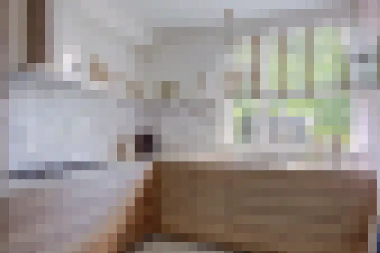 Beemdstraat 25 Deil thumbnail 10