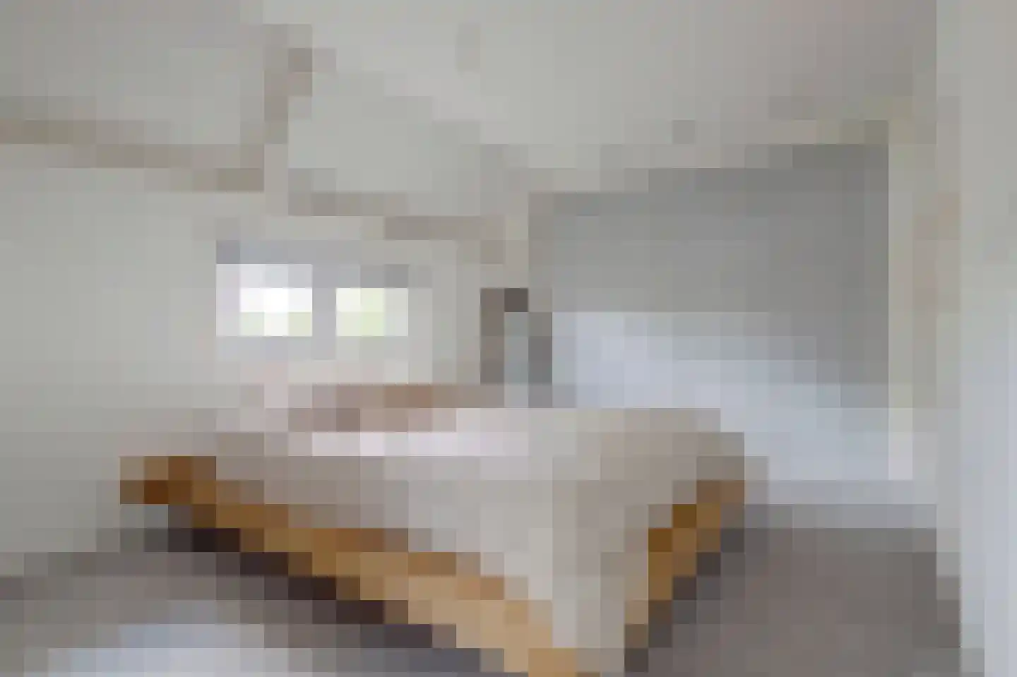 Beemdstraat 25 Deil thumbnail 17
