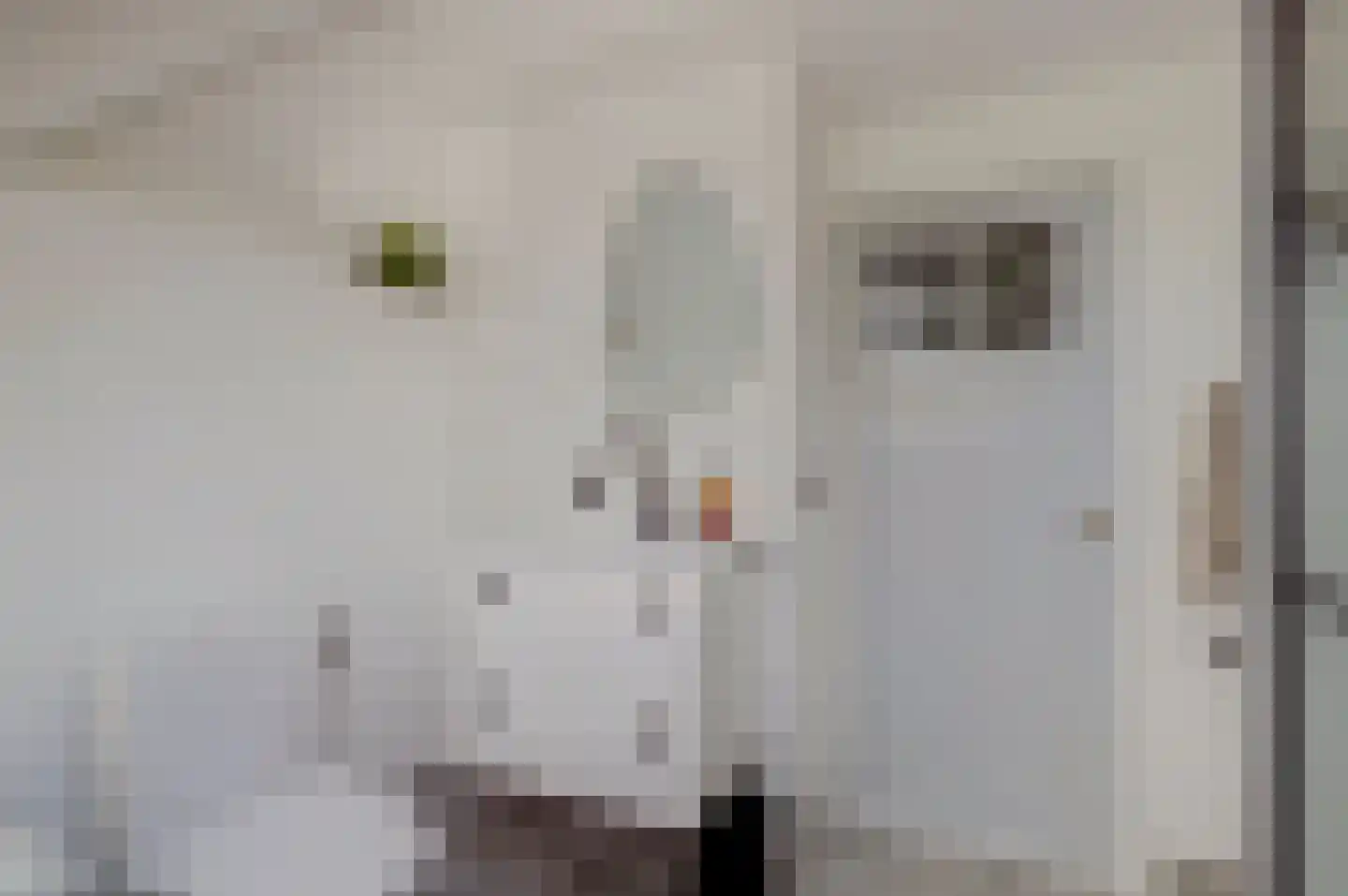 Beemdstraat 25 Deil thumbnail 22