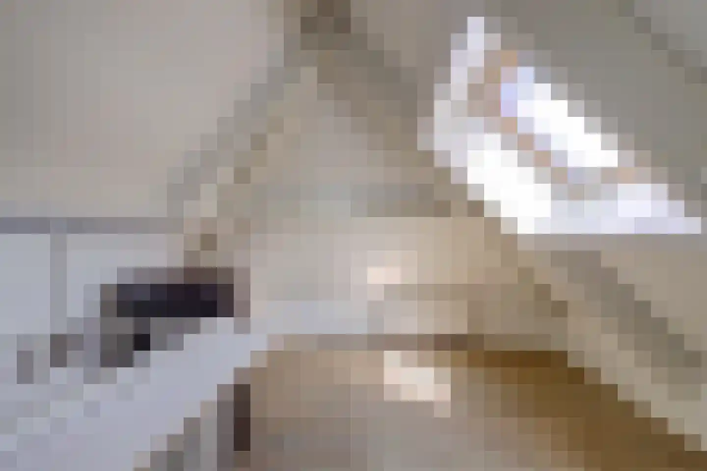 Beemdstraat 25 Deil thumbnail 25