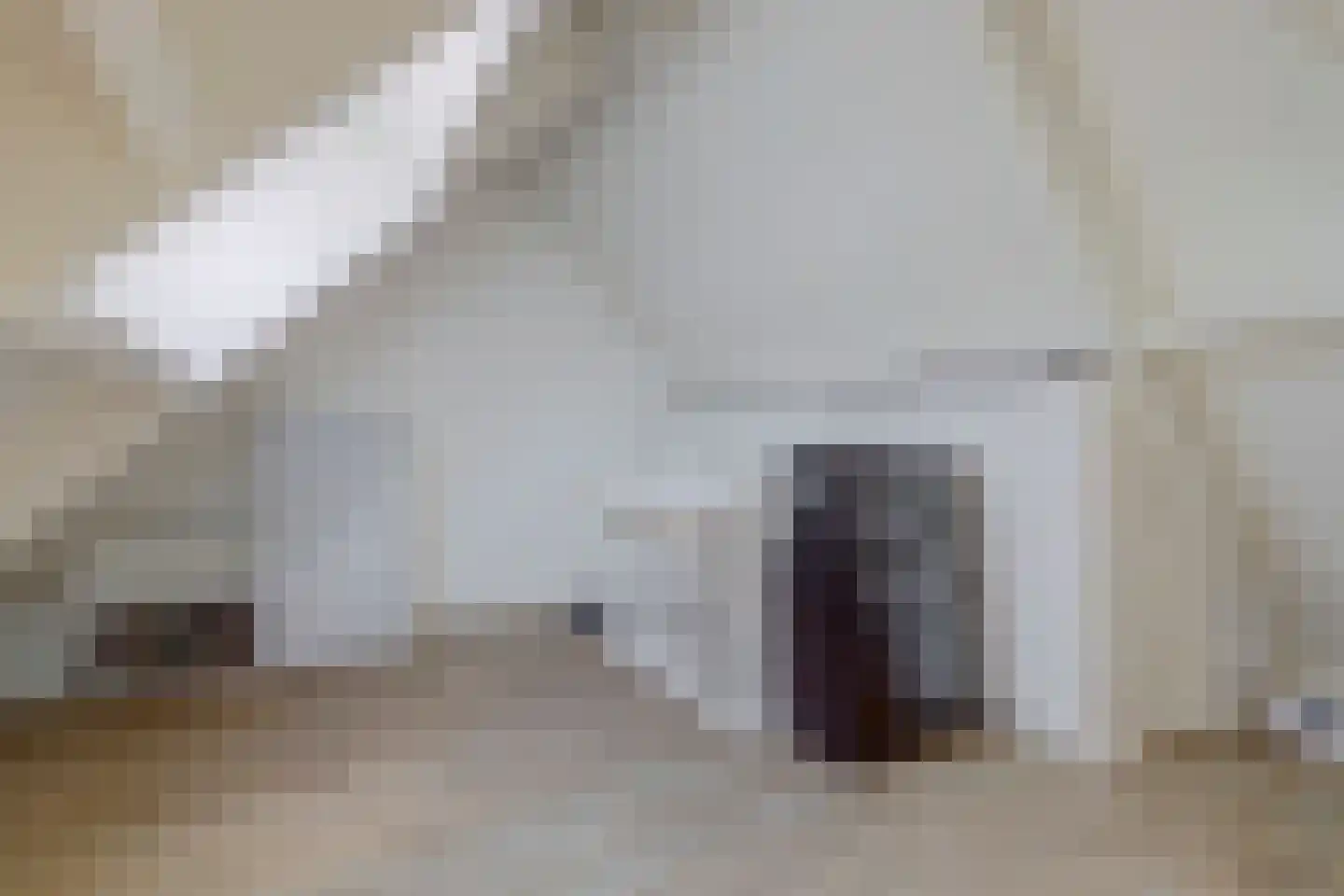 Beemdstraat 25 Deil thumbnail 26