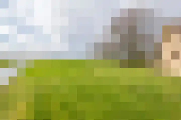 Beemdstraat 39 a Deil thumbnail 11