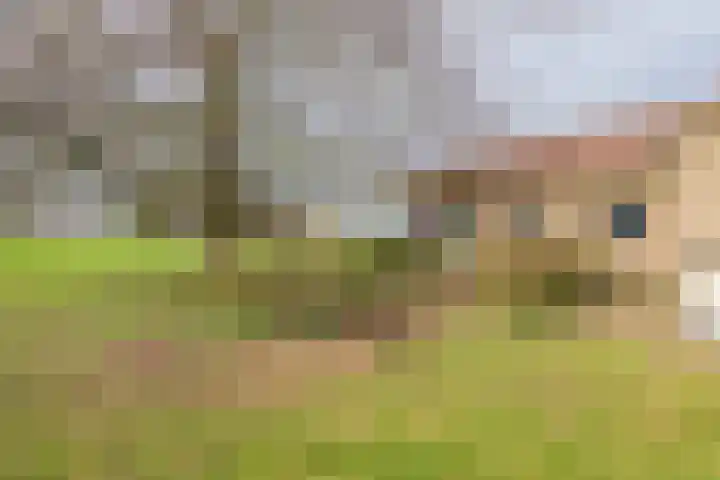 Beemdstraat 39 a Deil thumbnail 12