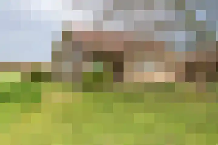 Beemdstraat 39 a Deil thumbnail 15