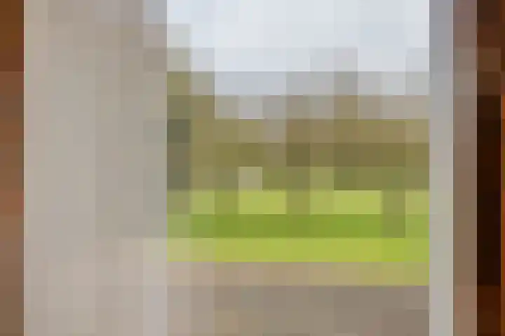 Beemdstraat 39 a Deil thumbnail 34